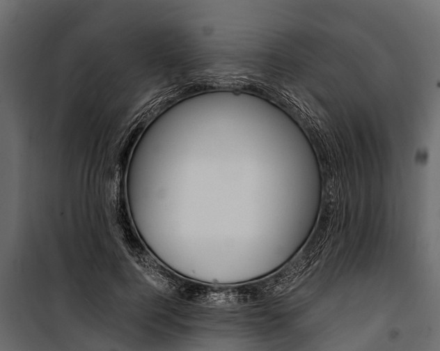 X0000100940744200806241202