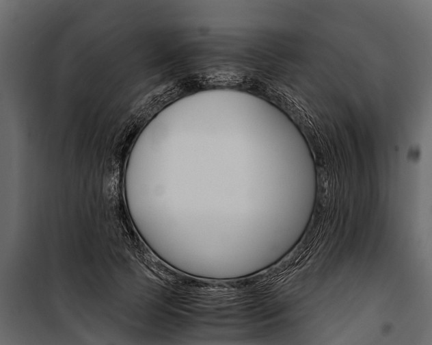X0000100940745200806241202