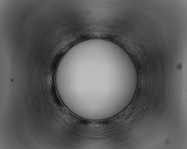 X0000100940746200806241202