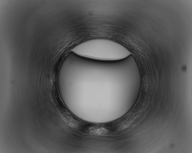 X0000100940747200806241202