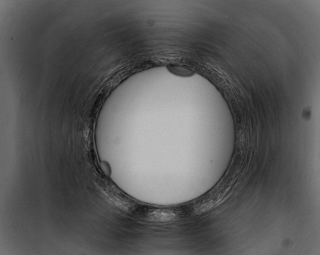 X0000100940749200806241202