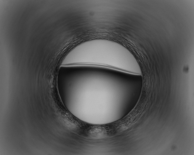 X0000100940750200806241202