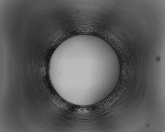 X0000100940751200806241202