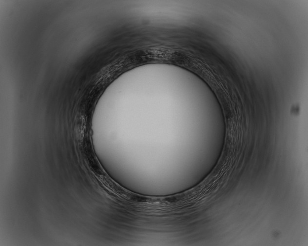 X0000100940752200806241202