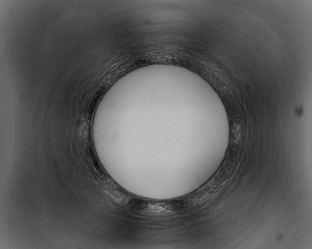 X0000100940753200806241202