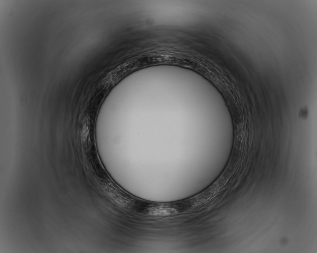 X0000100940754200806241202