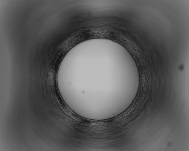 X0000100940757200806241202