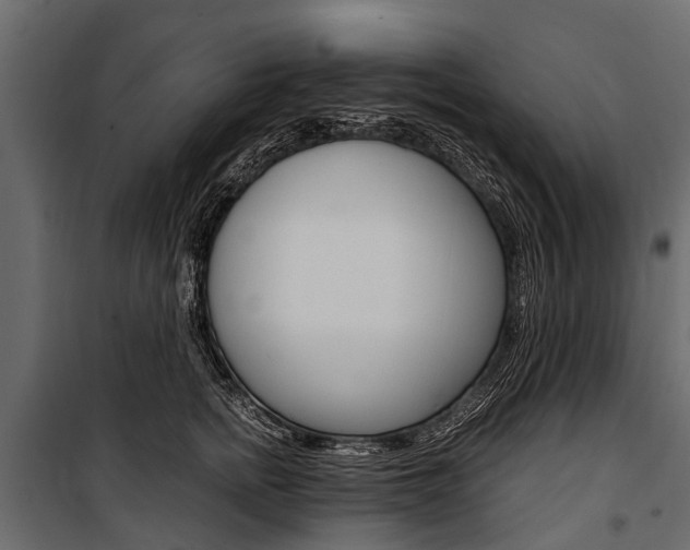 X0000100940758200806241202