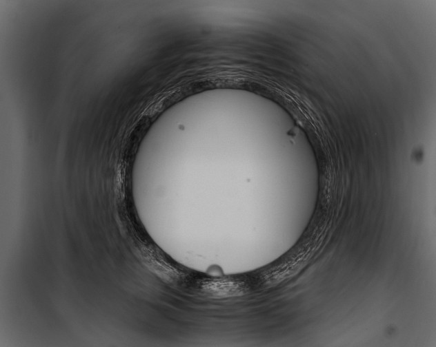 X0000100940759200806241202