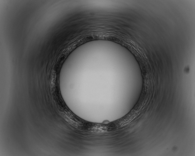 X0000100940760200806241202