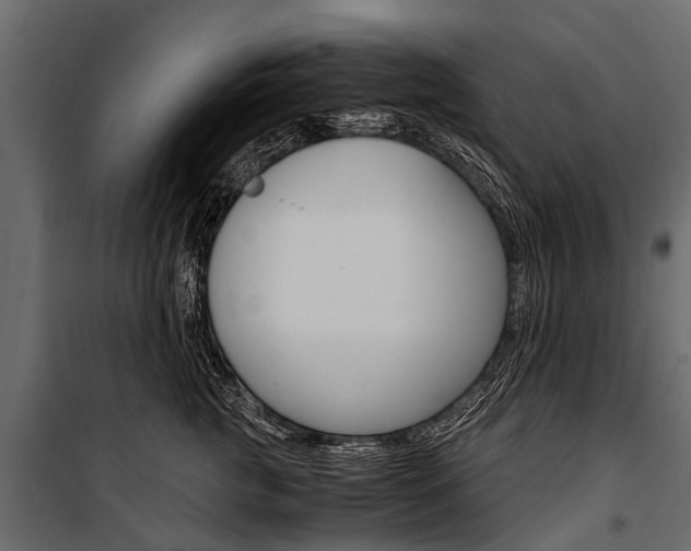 X0000100940761200806241202