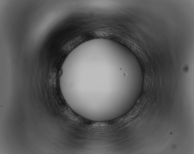 X0000100940762200806241202