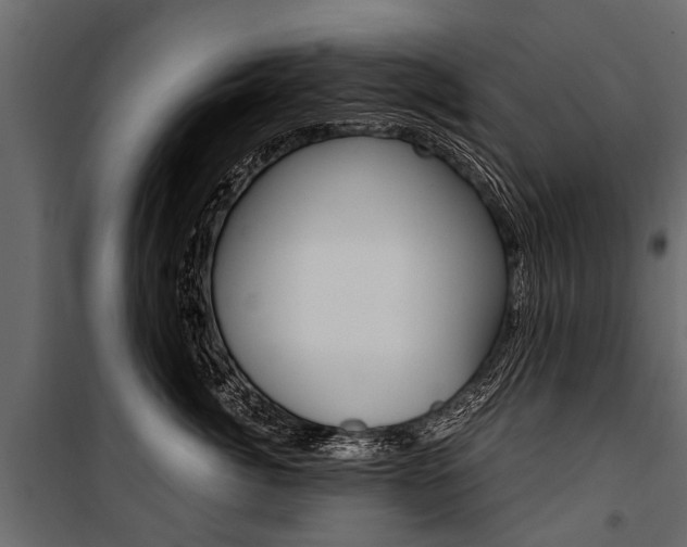 X0000100940764200806241202