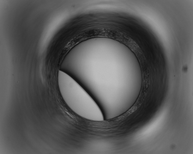 X0000100940766200806241202