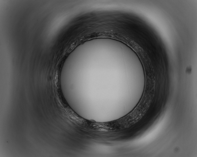 X0000100940767200806241202