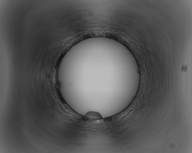 X0000100940768200806241202