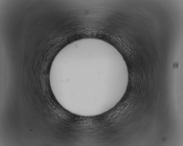 X0000100940769200806241201