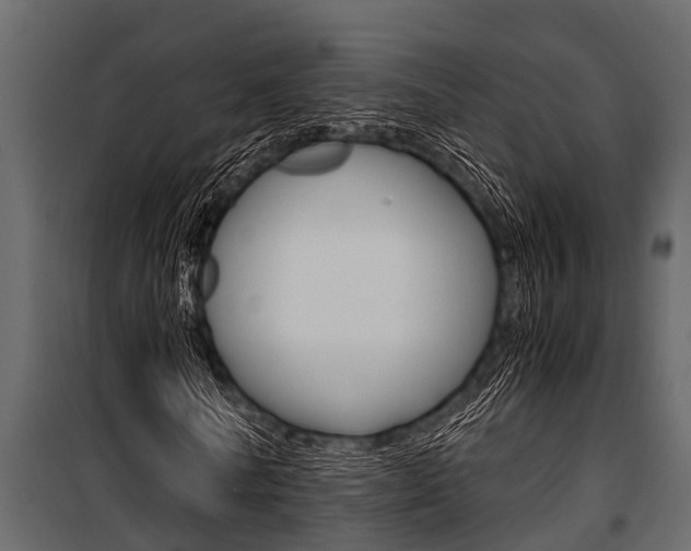 X0000100940770200806241201