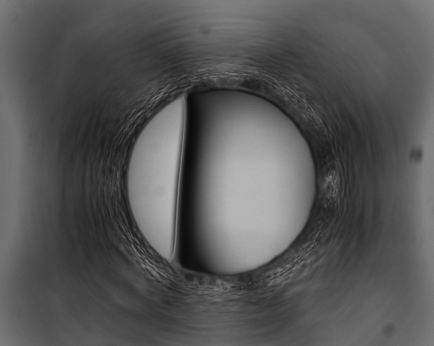 X0000100940772200806241201