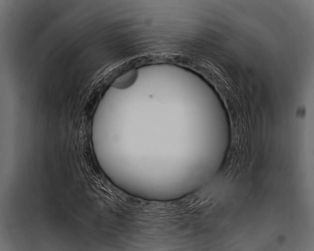 X0000100940773200806241201