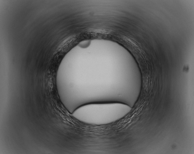 X0000100940774200806241201