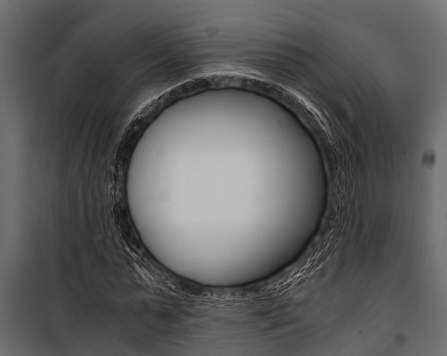 X0000100940775200806241201