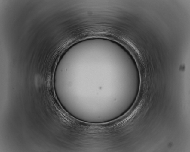 X0000100940777200806241201
