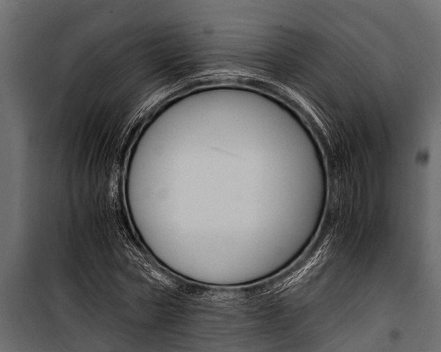 X0000100940778200806241201