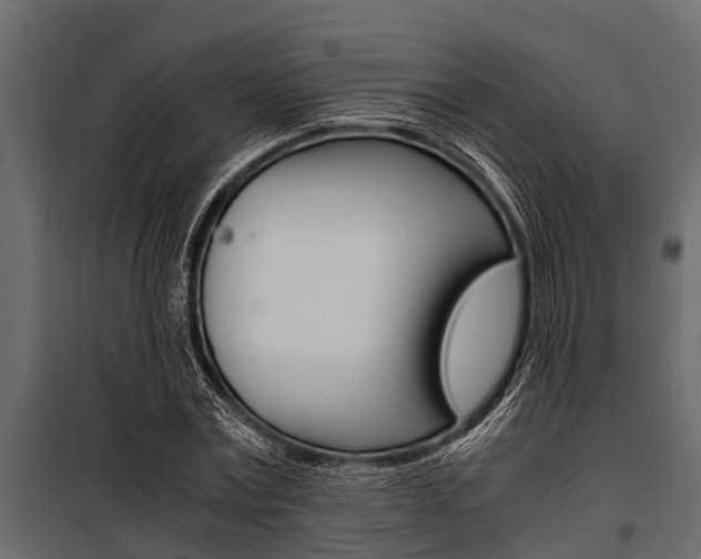 X0000100940779200806241201