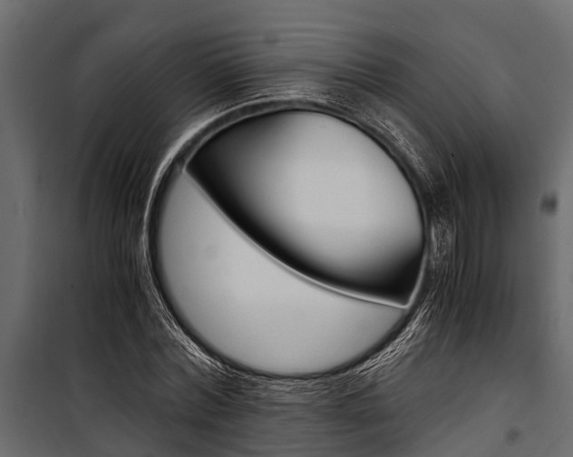 X0000100940780200806241201