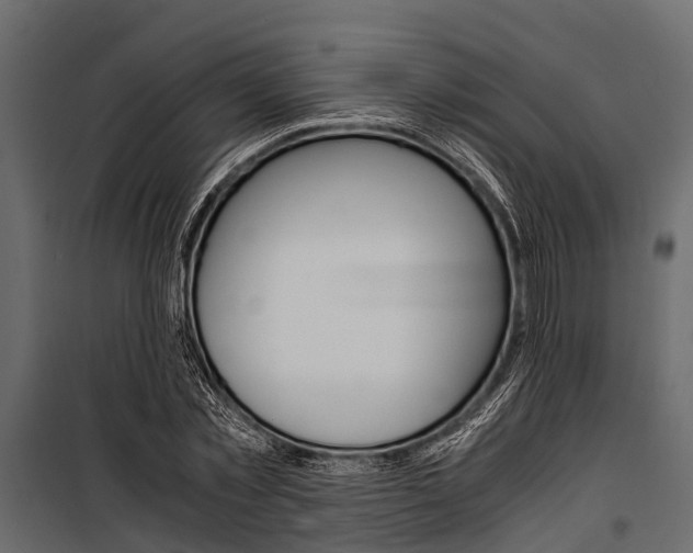 X0000100940781200806241201