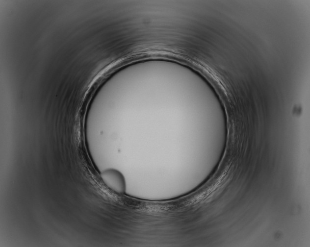 X0000100940782200806241201