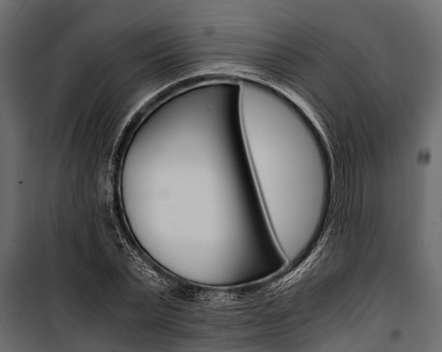 X0000100940783200806241201