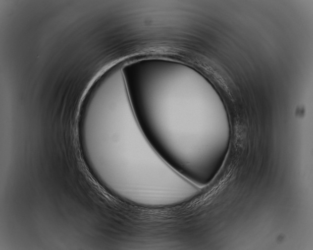 X0000100940784200806241201