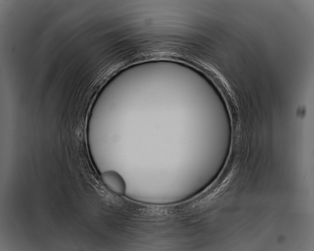 X0000100940785200806241201