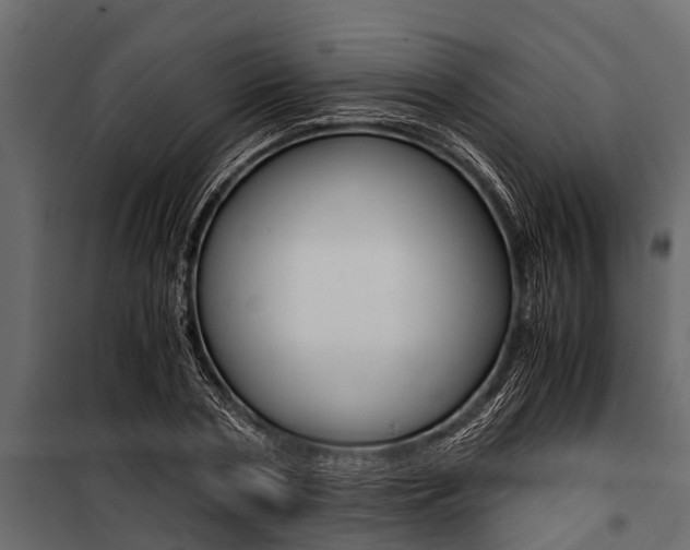 X0000100940786200806241201