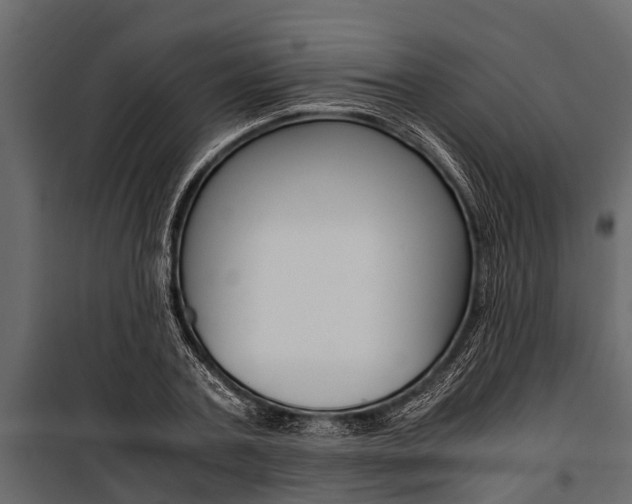 X0000100940787200806241201
