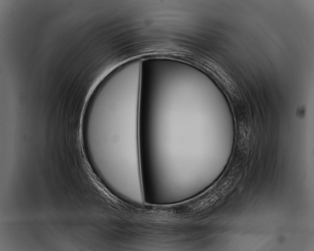 X0000100940788200806241201