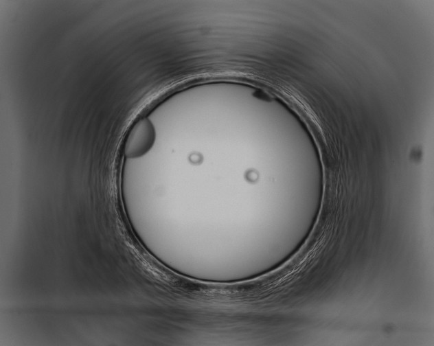 X0000100940789200806241201