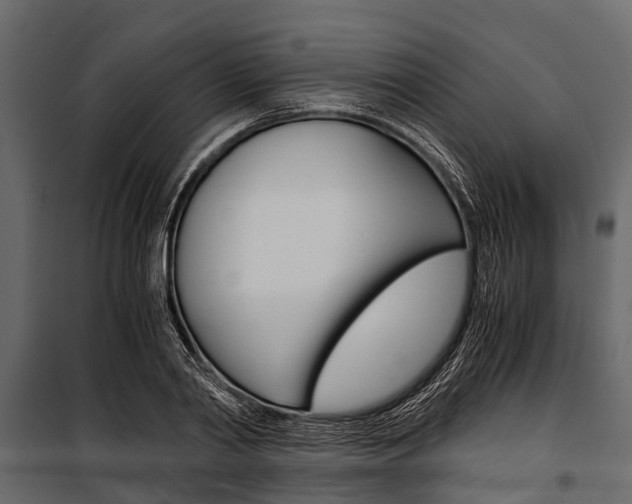 X0000100940790200806241201