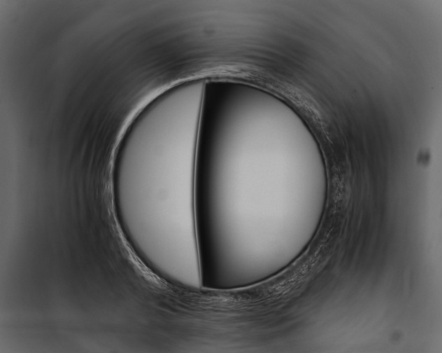 X0000100940792200806241201