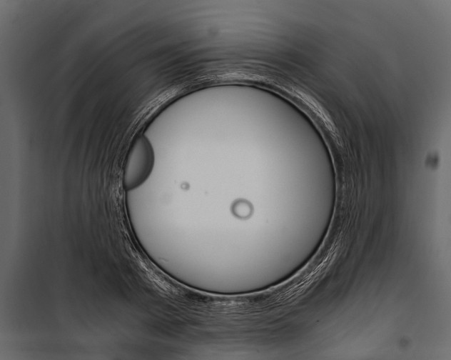 X0000100940793200806241201