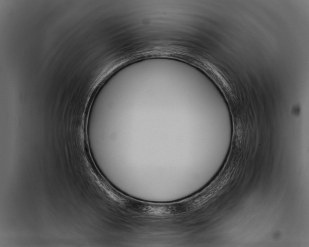 X0000100940794200806241201