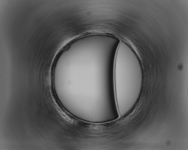 X0000100940795200806241201
