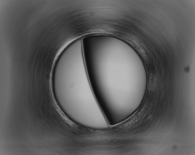 X0000100940796200806241201
