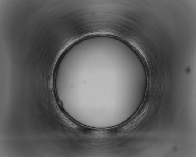 X0000100940797200806241201