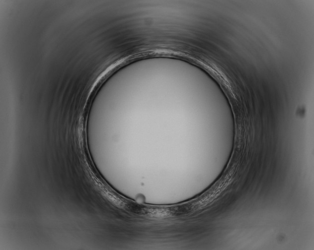 X0000100940798200806241201