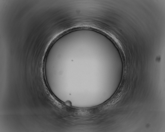 X0000100940799200806241201