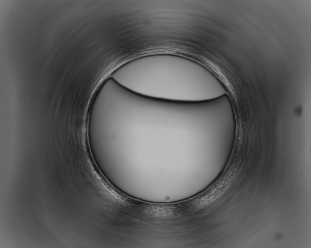X0000100940802200806241201
