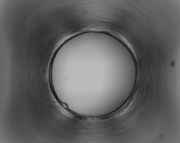 X0000100940803200806241201